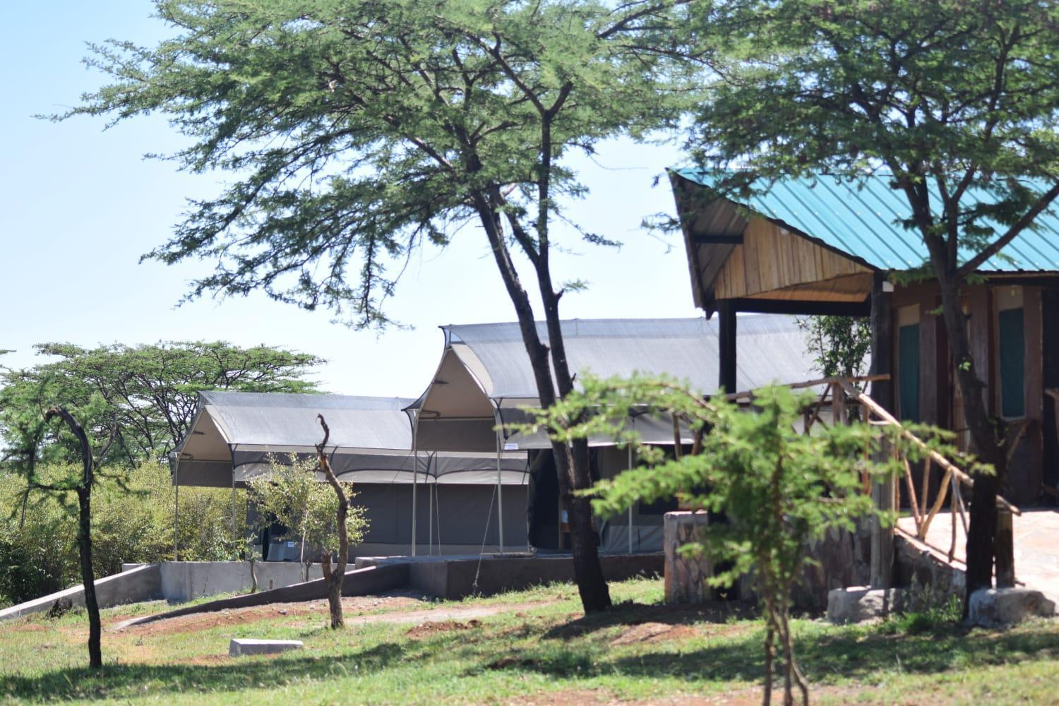 Bed and Breakfast Maasai Mara Safari Camp In Kenya à Sekenani Extérieur photo